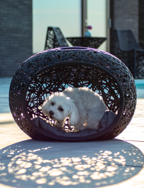 Pet Nest